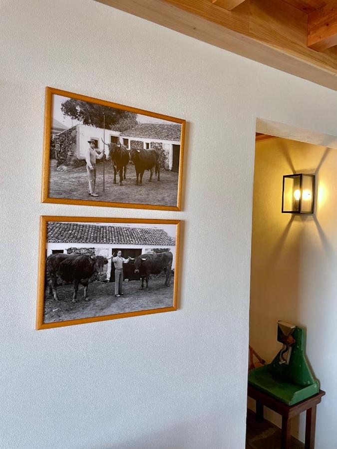 Casa Do Avo Jose Alves Praia da Vitoria